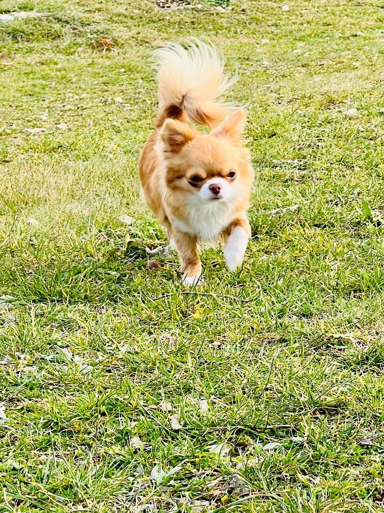 Suki De La Vallée De Naica
